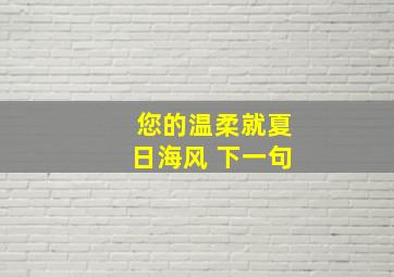 您的温柔就夏日海风 下一句